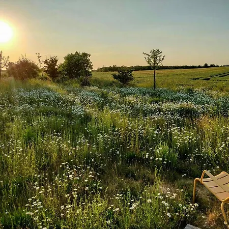 Prázdninový dům In The Schaalsee Biosphere Reserve